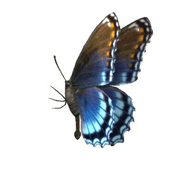 d70b9bcf575f8ca592c19a7685b86920