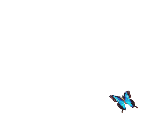 1846403_0dc06