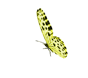 f678f3_67cce44b13954836b2227509a74f3508_mv2